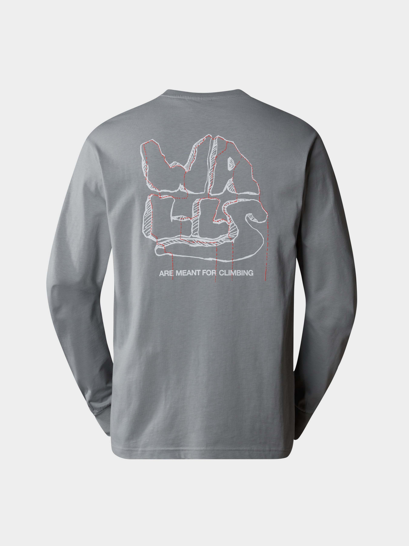 Худі та світшоти The North Face M Outdoor Graphic L/S модель NF0A880WH5F1 Худі та світшоти The North Face M Outdoor Graphic L/S модель NF0A880WH5F1 Фото