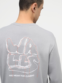 Худі та світшоти The North Face M Outdoor Graphic L/S модель NF0A880WH5F1 Фото