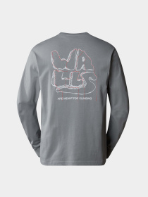 Худі та світшоти The North Face M Outdoor Graphic L/S модель NF0A880WH5F1 Фото