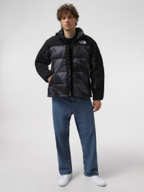 Куртки та дублянки The North Face M Hmlyn Insulated Jacket Print модель NF0A887ASIF1 Фото