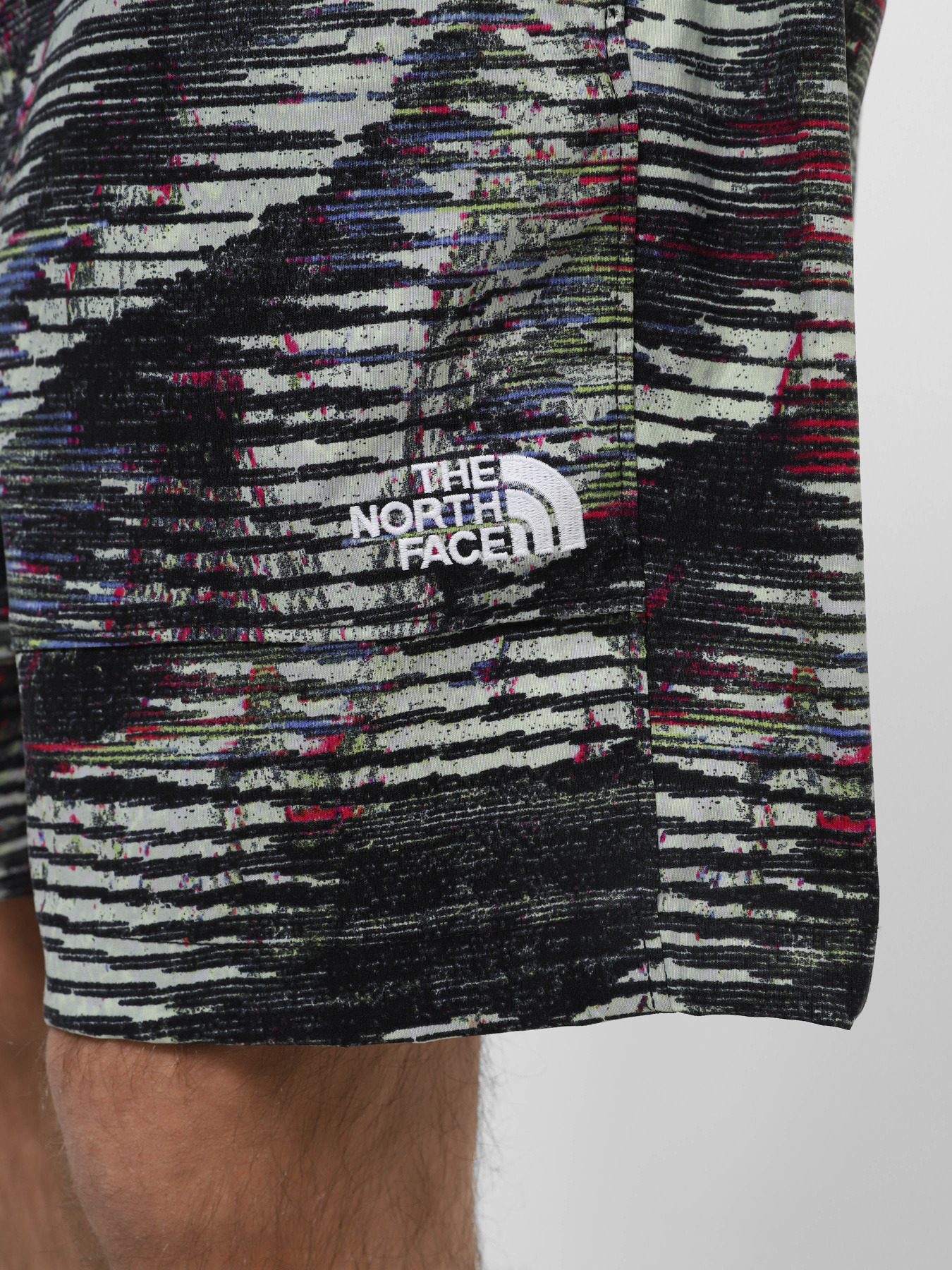 Шорти The North Face M Tnf Easy Wind Short модель NF0A8768SIR1 Шорти The North Face M Tnf Easy Wind Short модель NF0A8768SIR1 Фото
