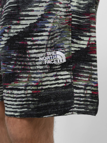 Шорти The North Face M Tnf Easy Wind Short модель NF0A8768SIR1 Фото