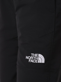 Брюки The North Face Easy Wind модель NF0A8769JK31 Фото