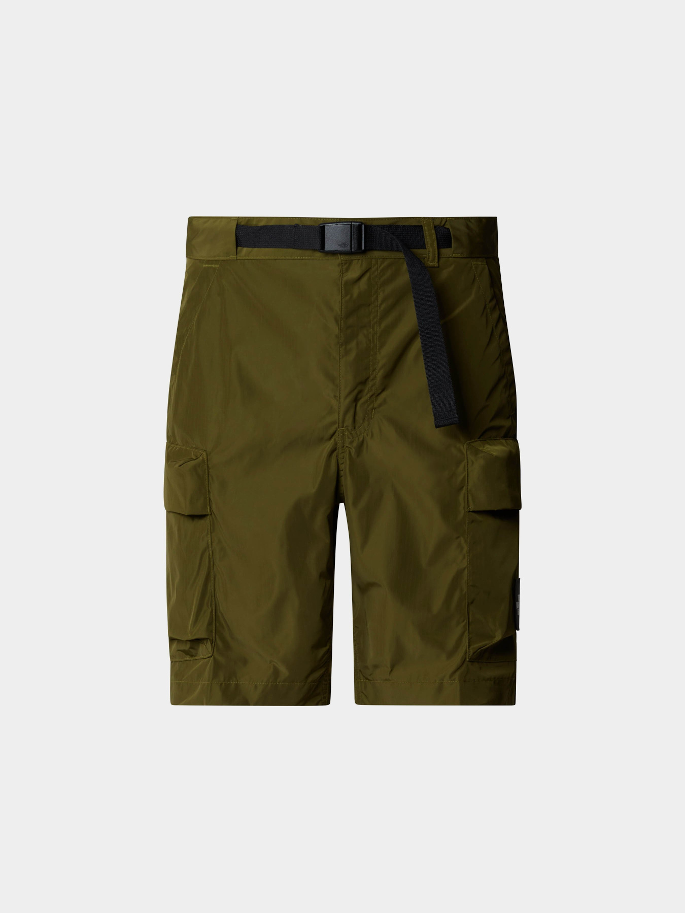 Шорты The North Face M Nse Cargo Pkt Short модель NF0A879RPIB1 Шорты The North Face M Nse Cargo Pkt Short модель NF0A879RPIB1 Фото