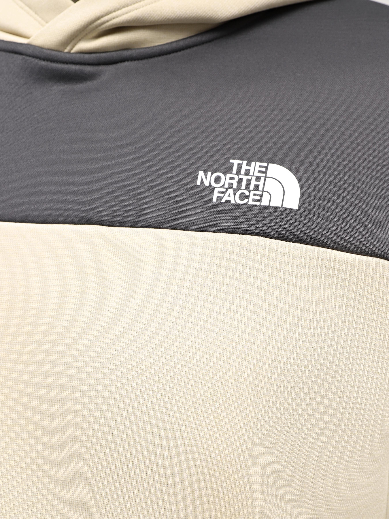 Худи и свитшоты The North Face M Reaxion Fleece P/O Hoodie - Eu модель NF0A7ZA8ZTI1 Худи и свитшоты The North Face M Reaxion Fleece P/O Hoodie - Eu модель NF0A7ZA8ZTI1 Фото