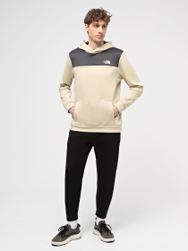 Худи и свитшоты The North Face M Reaxion Fleece P/O Hoodie - Eu модель NF0A7ZA8ZTI1 Фото