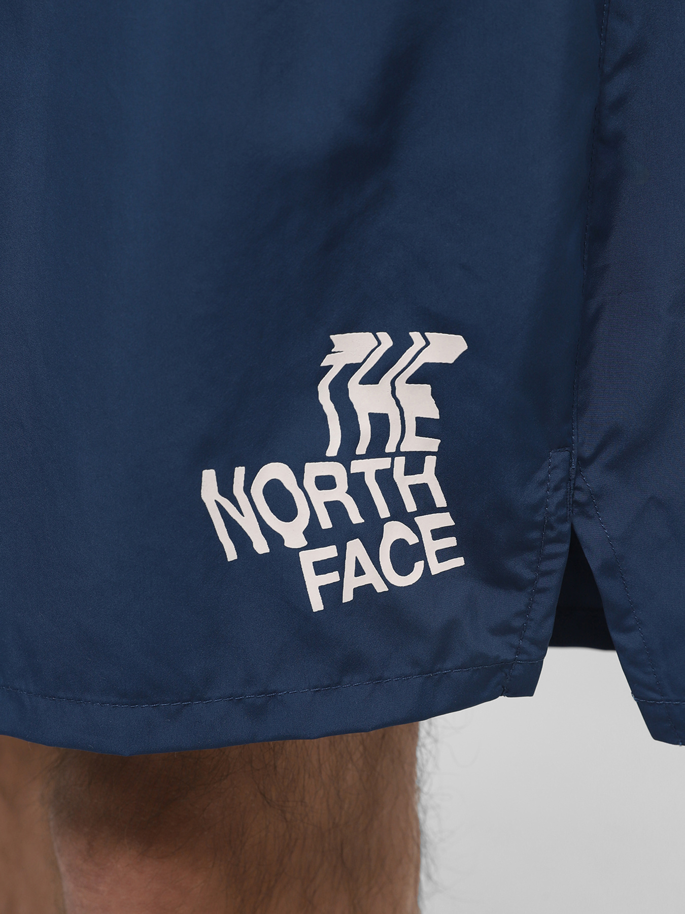 Шорти The North Face M Limitless Run Short модель NF0A7ZU4SOO1 Фото