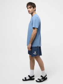 Шорти The North Face M Limitless Run Short модель NF0A7ZU4SOO1 Фото