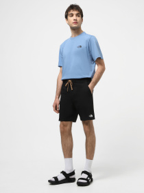 Шорти The North Face Class V Ripstop Boardshort модель NF0A81X1JK31 Фото