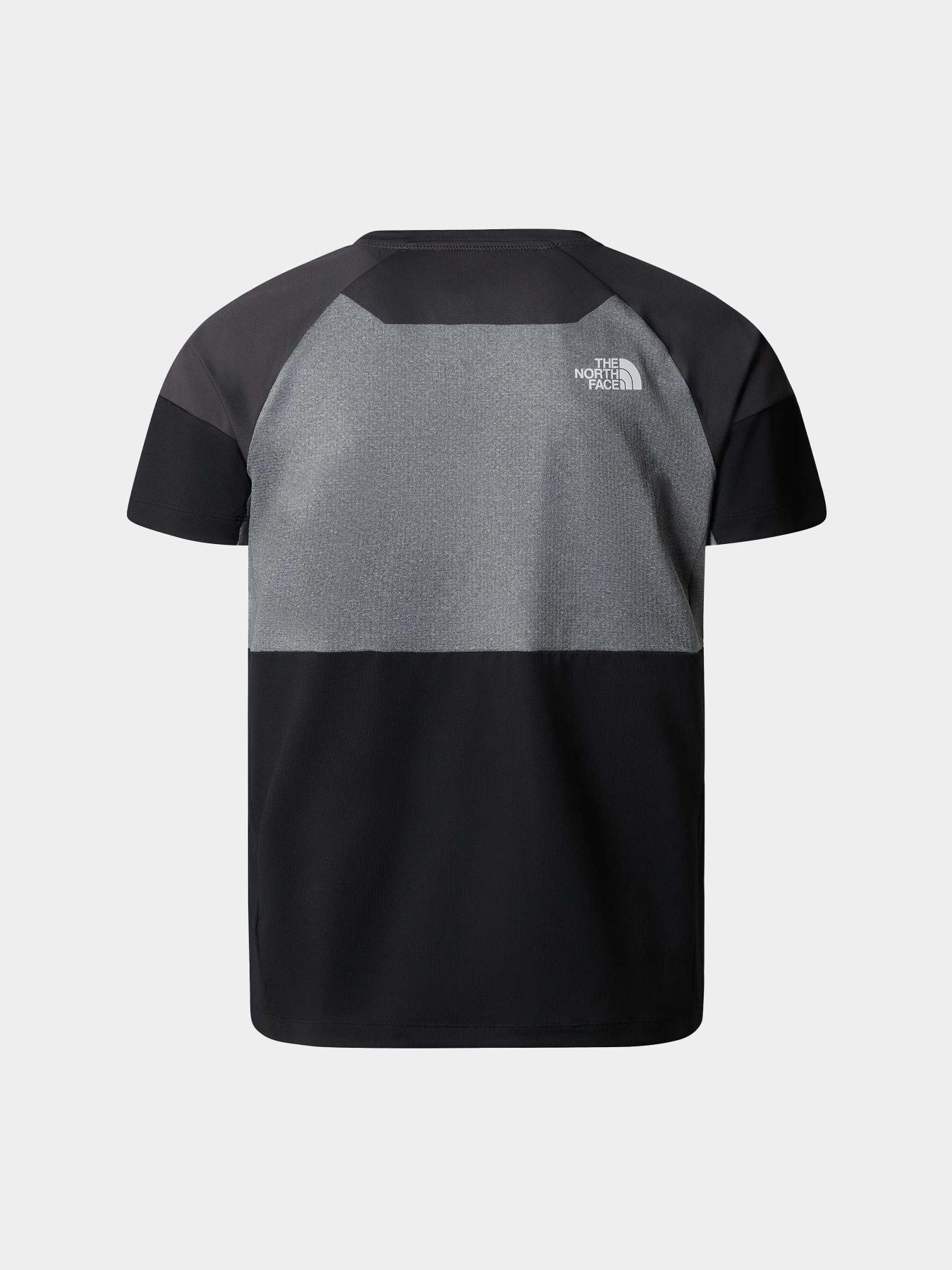 Футболки і поло The North Face Bolt Tech Tee модель NF0A825GMN81 Фото