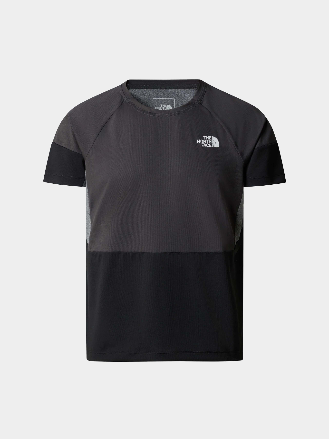 Футболки і поло The North Face Bolt Tech Tee модель NF0A825GMN81 Фото