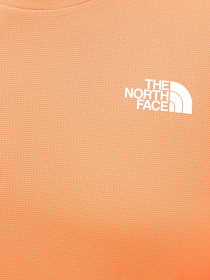 Футболки і поло The North Face M Lightbright S/S Tee модель NF0A825OTNI1 Фото