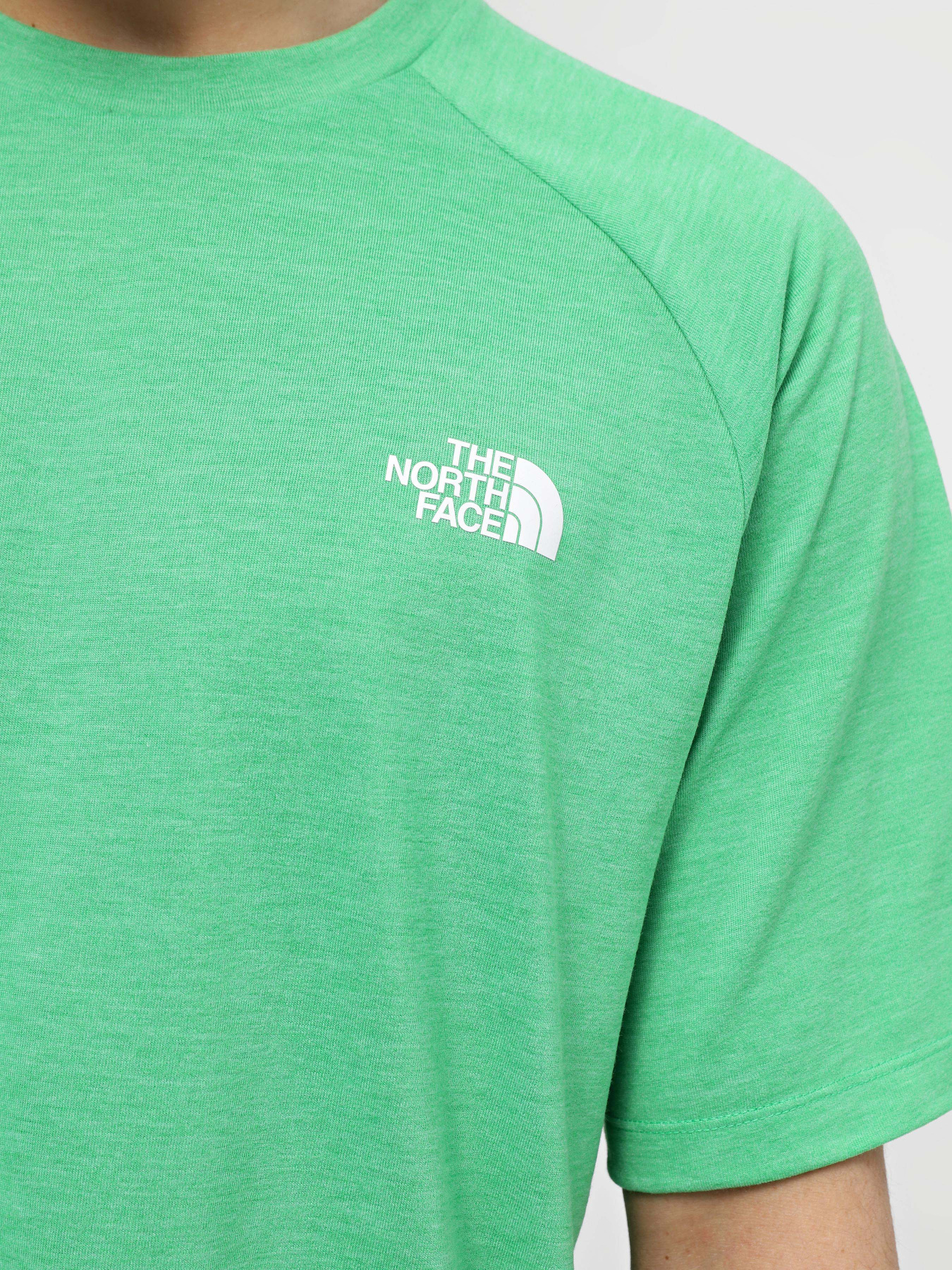 Футболки и поло The North Face Foundation S/S Tee модель NF0A87FQPPO1 Футболки и поло The North Face Foundation S/S Tee модель NF0A87FQPPO1 Фото