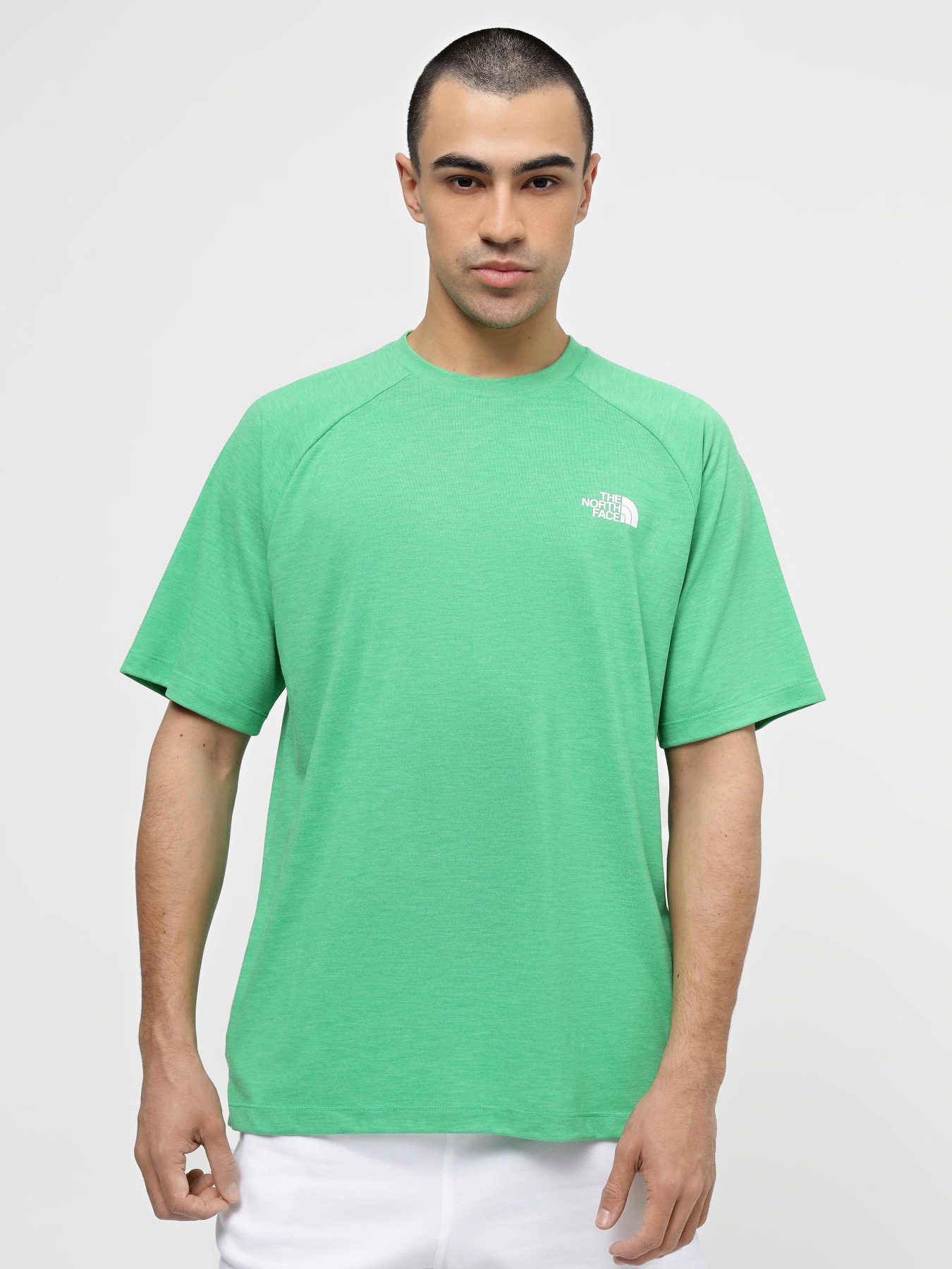 Футболки и поло The North Face Foundation S/S Tee модель NF0A87FQPPO1 Футболки и поло The North Face Foundation S/S Tee модель NF0A87FQPPO1 Фото