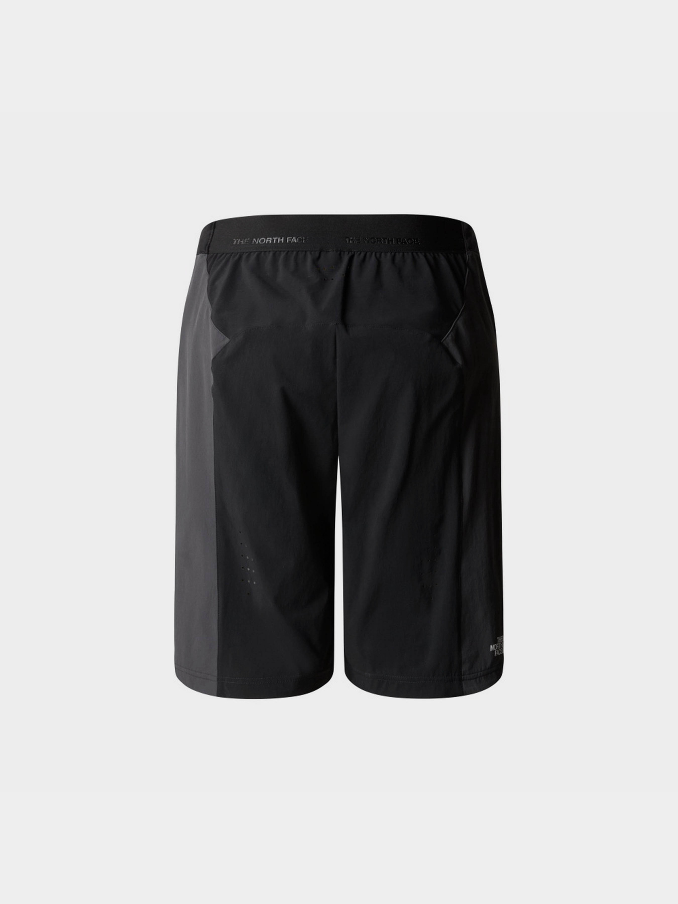 Шорты The North Face W Trailjammer Short модель NF0A87J0MN81 Фото