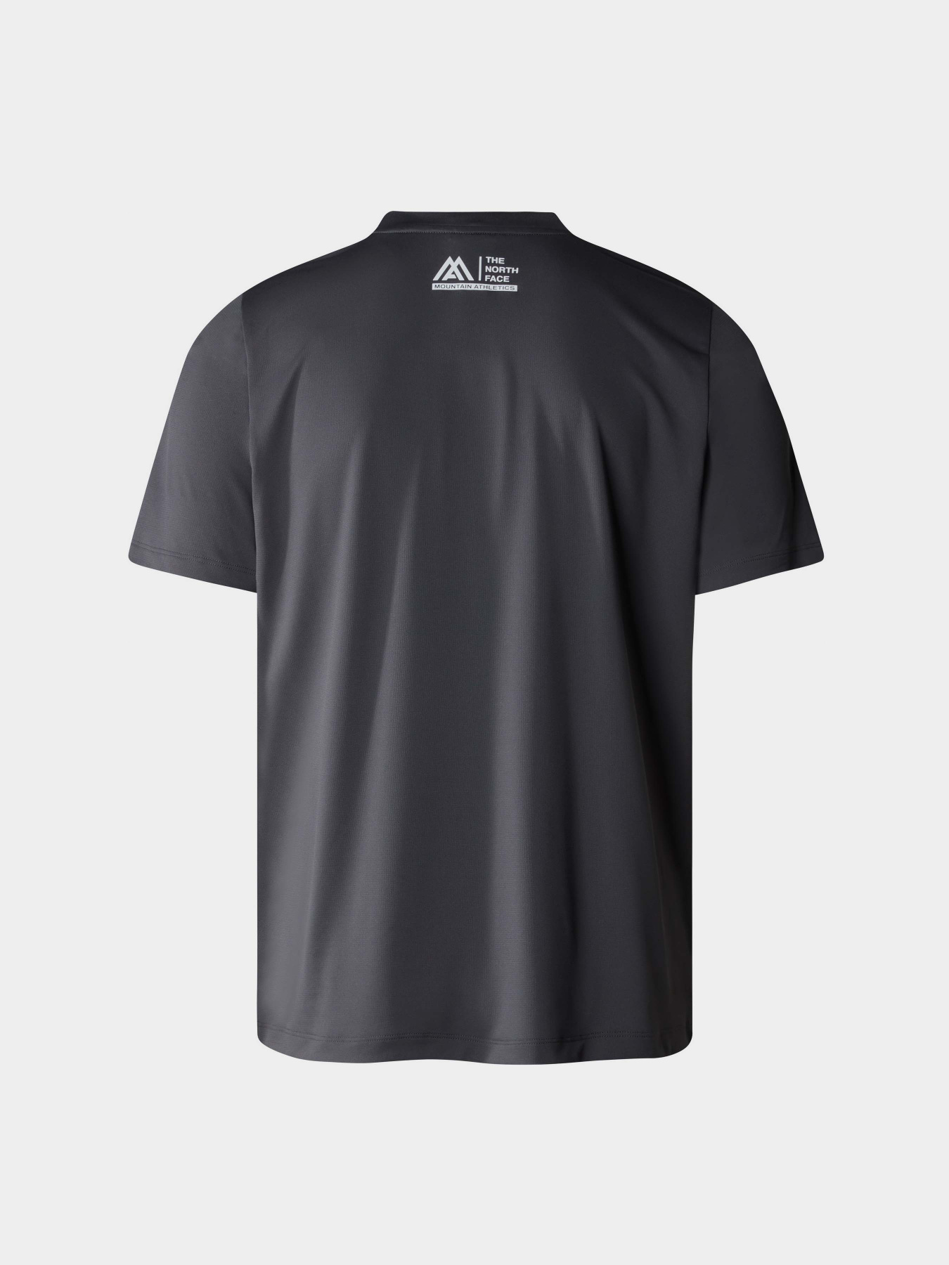 Футболки і поло The North Face M Ma S/S Tee Graphic модель NF0A87JKXI11 Фото