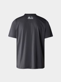 Футболки і поло The North Face M Ma S/S Tee Graphic модель NF0A87JKXI11 Фото
