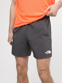 Шорты The North Face M Ma Woven Short Graphic модель NF0A87JNWUO1 Фото