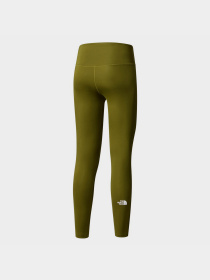 Брюки The North Face Flex 25in модель NF0A87JQPIB1 Фото