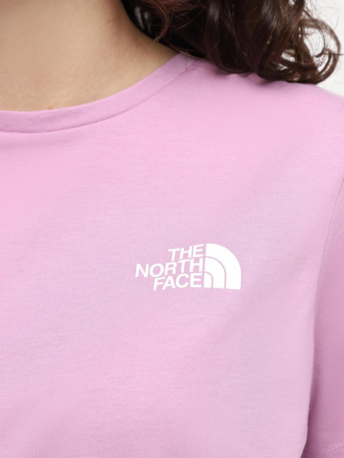 Футболки і поло The North Face W Foundation Mountain Graphic Tee модель NF0A882VPO21 Футболки і поло The North Face W Foundation Mountain Graphic Tee модель NF0A882VPO21 Фото