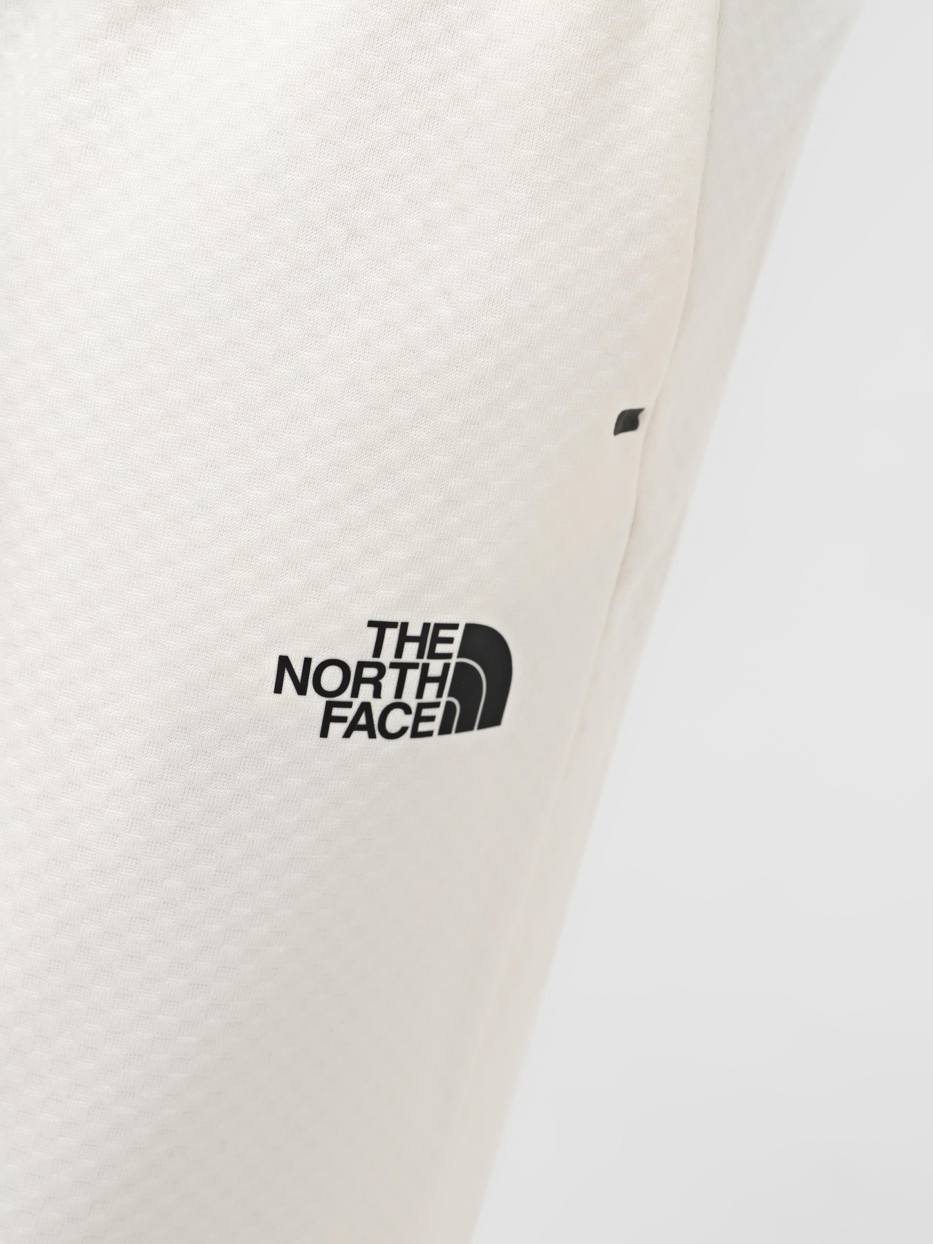 Штани The North Face M Ma Lab Jogger модель NF0A88F6QMO1 Фото