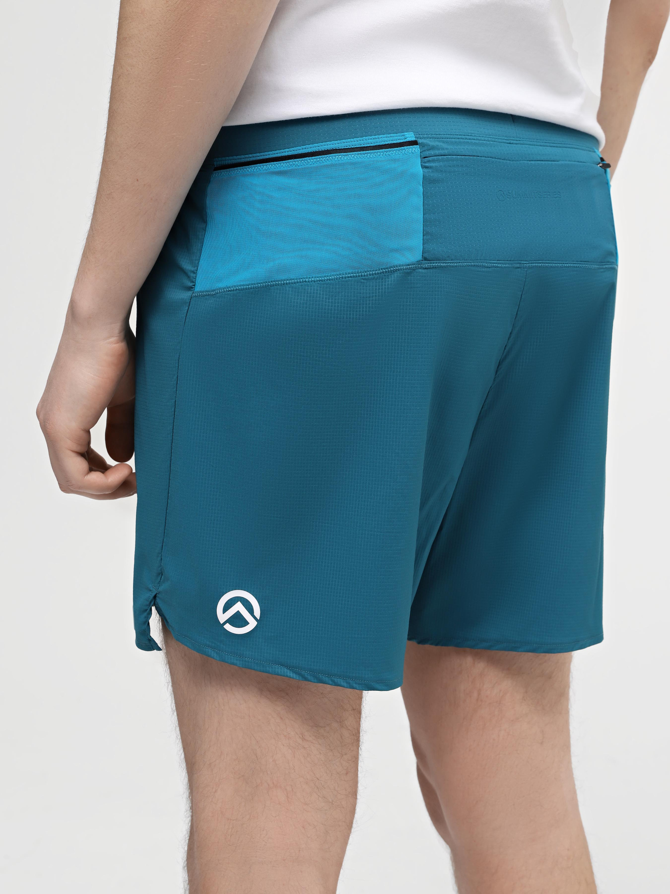 Шорты The North Face M Summit Pacesetter Short 5in модель NF0A88S6UIE1 Фото