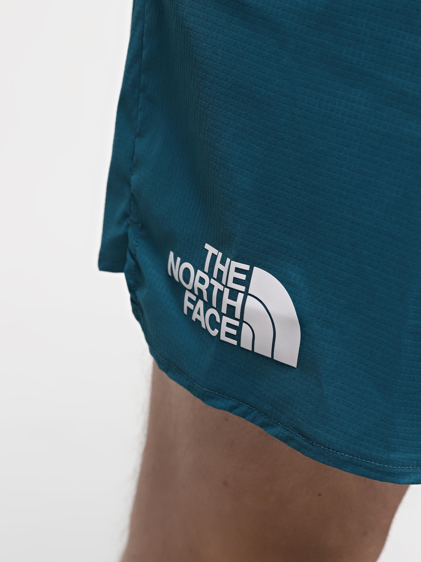 Шорты The North Face M Summit Pacesetter Short 5in модель NF0A88S6UIE1 Фото