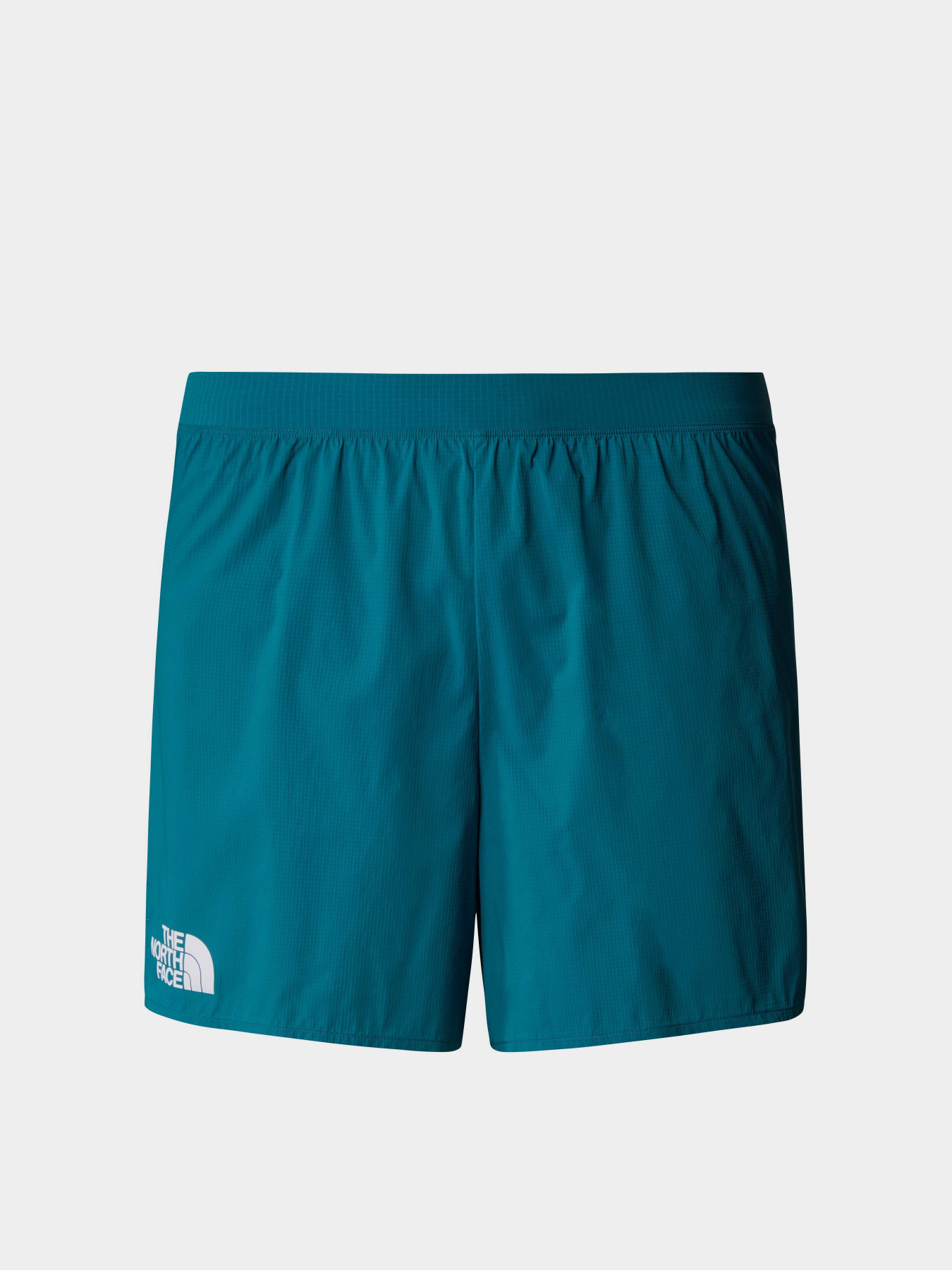 Шорты The North Face M Summit Pacesetter Short 5in модель NF0A88S6UIE1 Фото