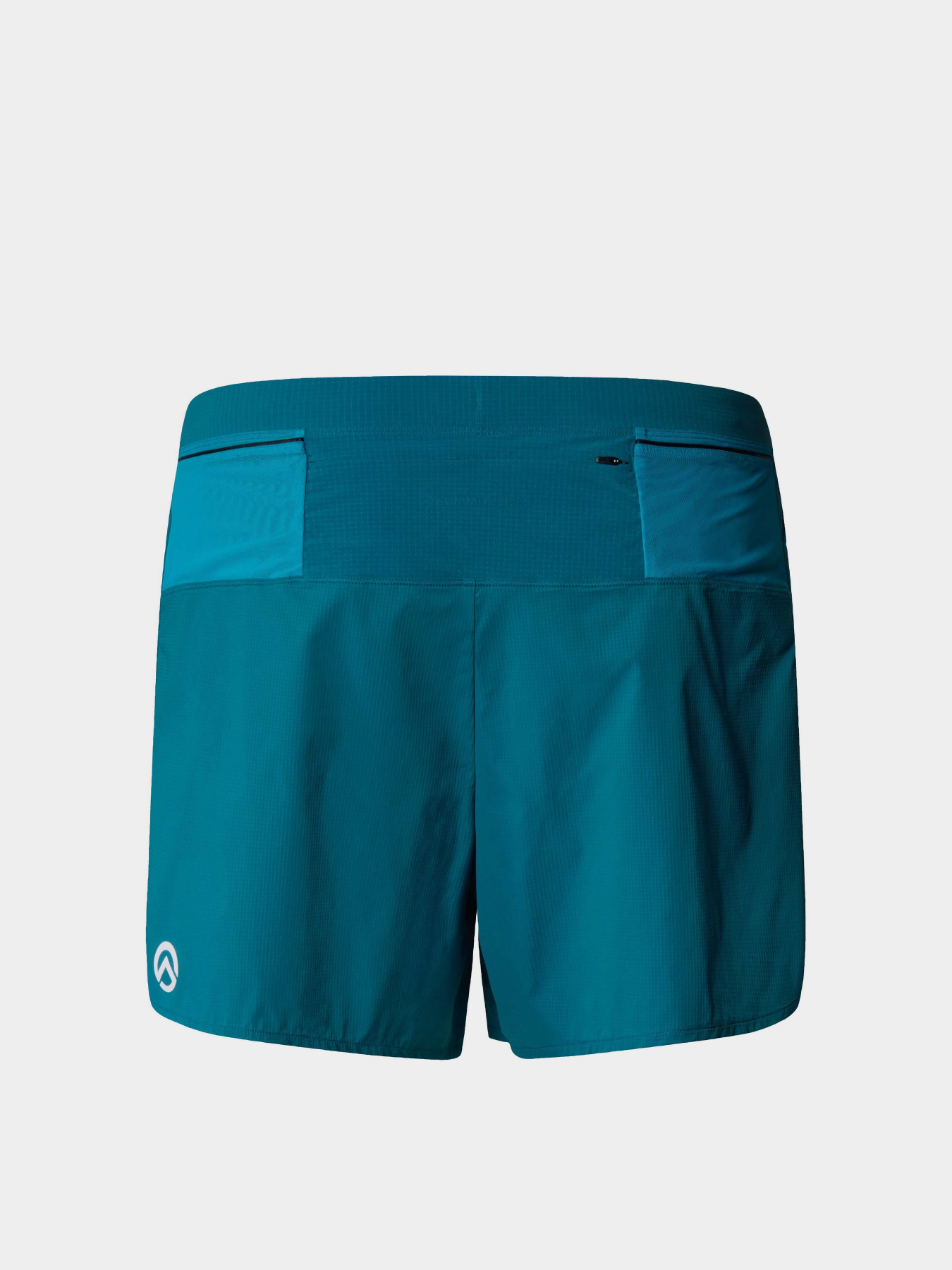 Шорты The North Face M Summit Pacesetter Short 5in модель NF0A88S6UIE1 Фото