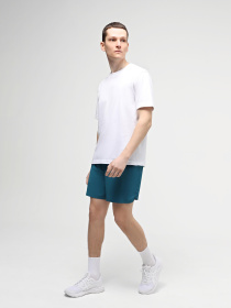 Шорты The North Face M Summit Pacesetter Short 5in модель NF0A88S6UIE1 Фото