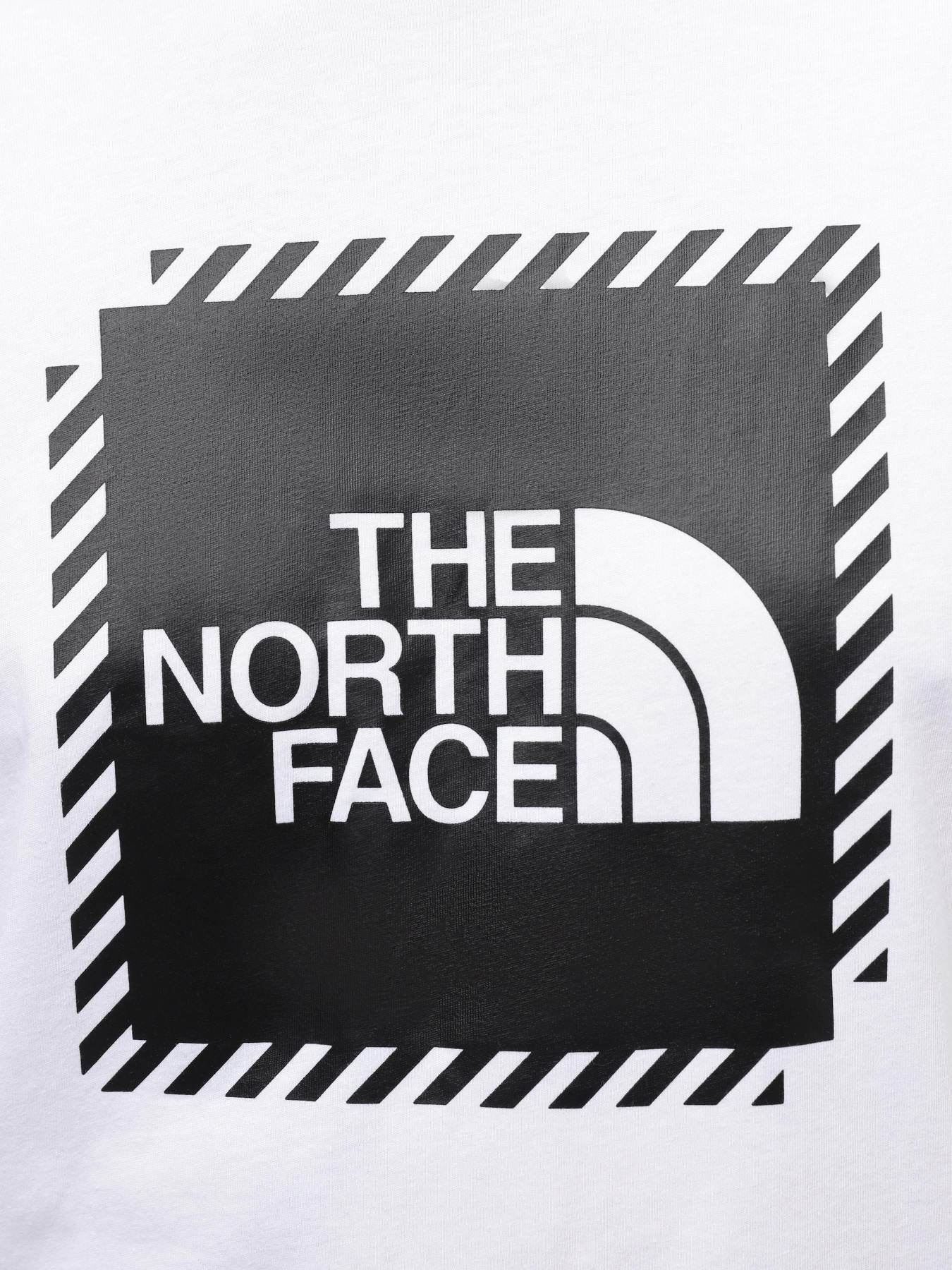 Футболки і поло The North Face M Biner Graphic 2 Tee модель NF0A894YFN41 Футболки і поло The North Face M Biner Graphic 2 Tee модель NF0A894YFN41 Фото