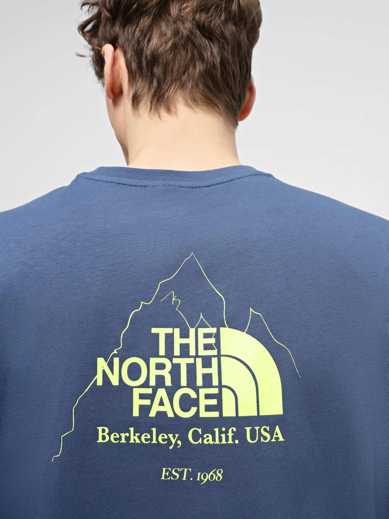 Футболки и поло The North Face Biner Graphic 4 модель NF0A894ZHDC1 Фото