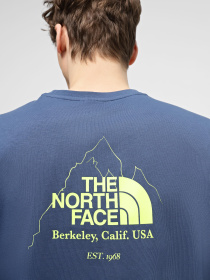 Футболки и поло The North Face Biner Graphic 4 модель NF0A894ZHDC1 Фото
