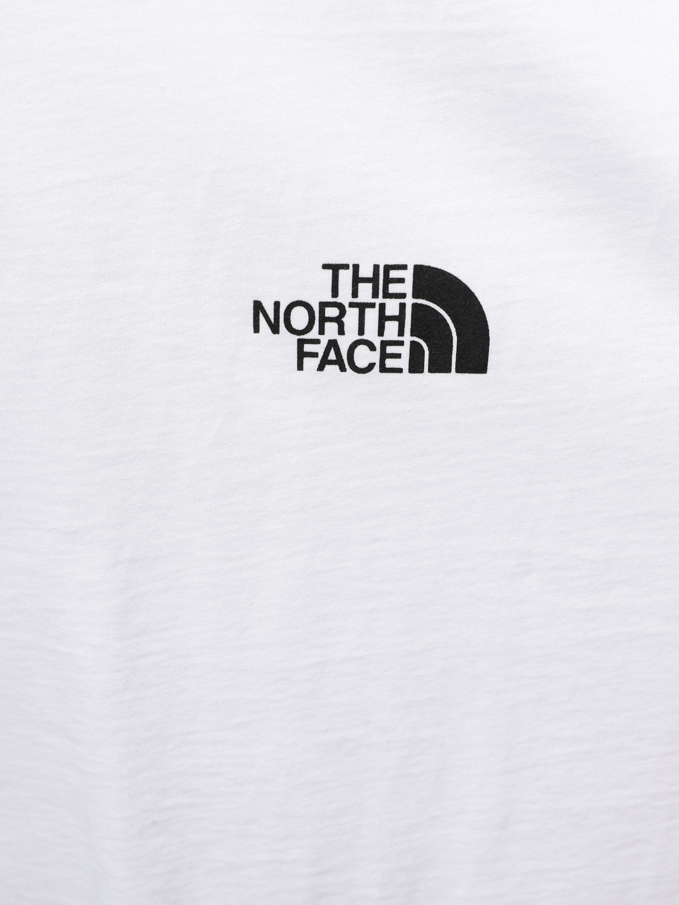 Футболки и поло The North Face Tech 1/4 Zip Fleece модель NF0A8953FN41 Фото