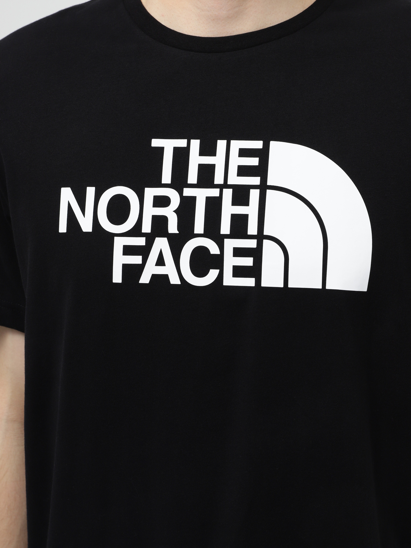 Футболки і поло The North Face M S/S Half Dome Tee - Eu модель NF0A8955JK31 Фото