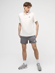 Шорти The North Face M 24/7 5'' Shorts модель NF0A882D0UZ1 Фото