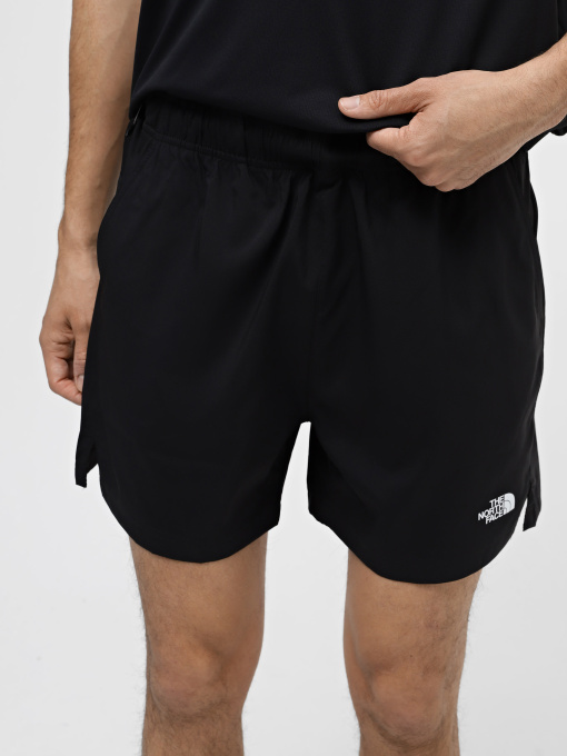 Шорты The North Face M 24/7 5'' Shorts модель NF0A882DJK31 Фото