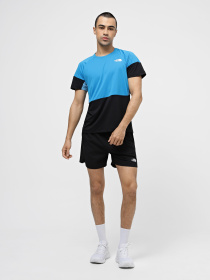 Шорты The North Face M 24/7 5'' Shorts модель NF0A882DJK31 Фото