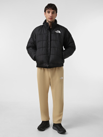 Куртки и дубленки The North Face 2000 модель NF0A7UREJK31 Фото