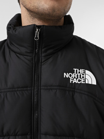 Куртки и дубленки The North Face 2000 модель NF0A7UREJK31 Фото