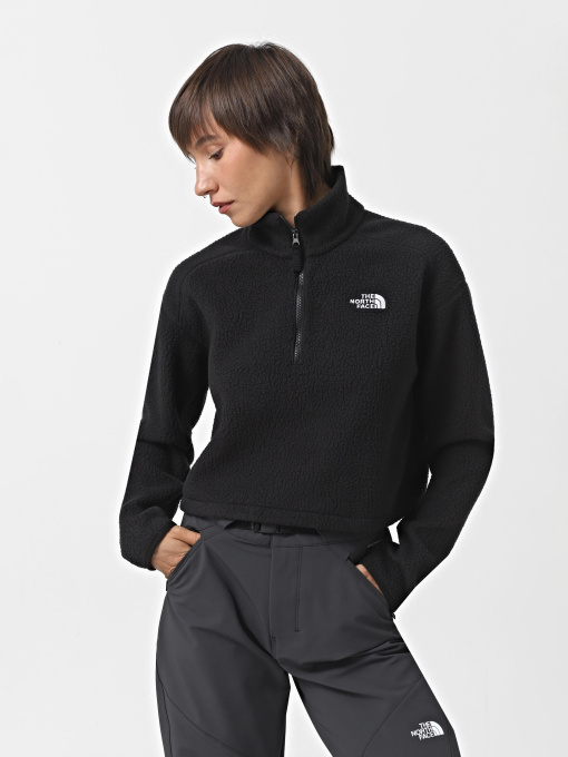 Худі та світшоти The North Face High Pile Fleece модель NF0A5IIG4H01 Фото