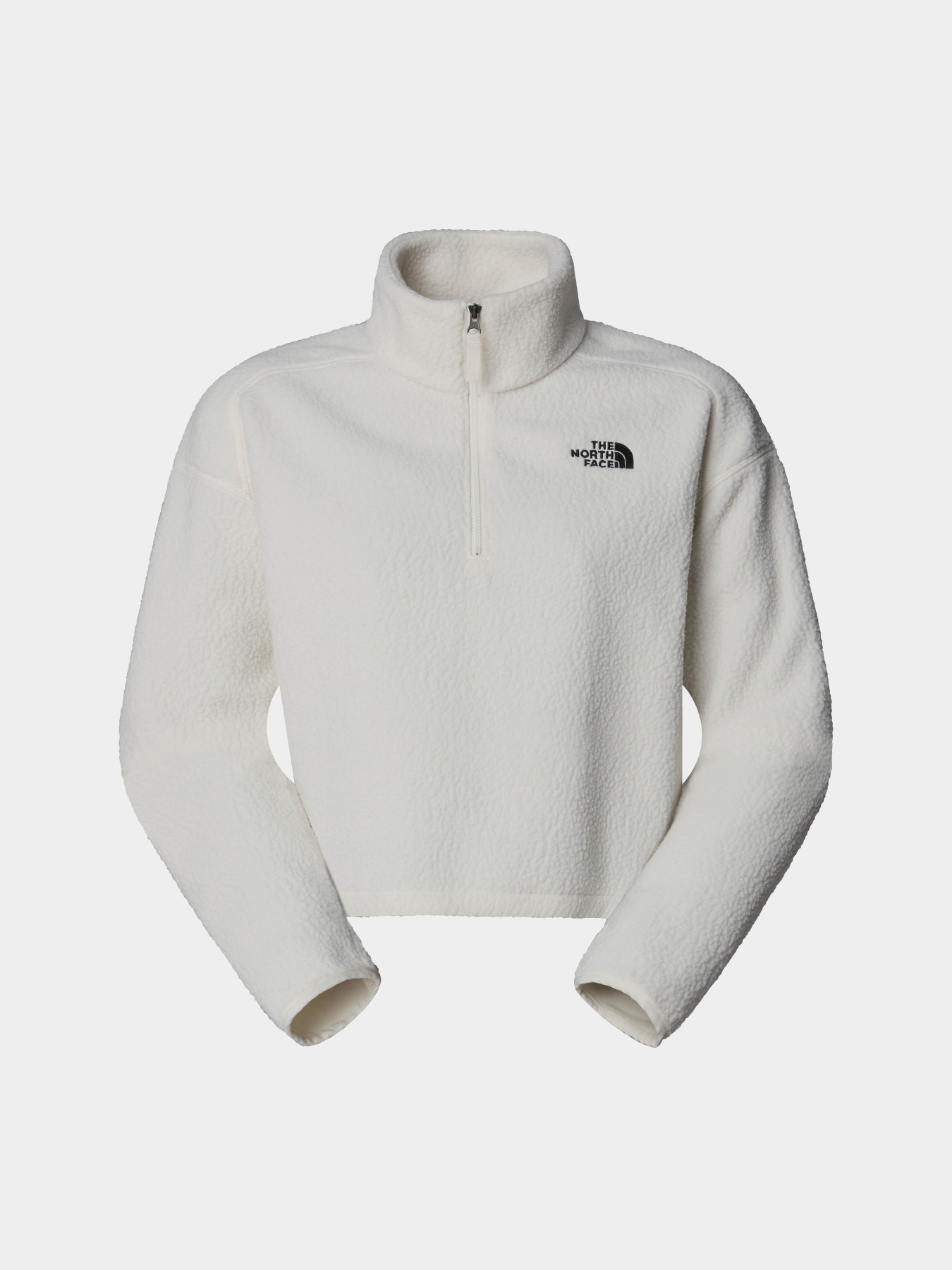 Худи и свитшоты The North Face High Pile Fleece модель NF0A5IIGQLI1 Фото
