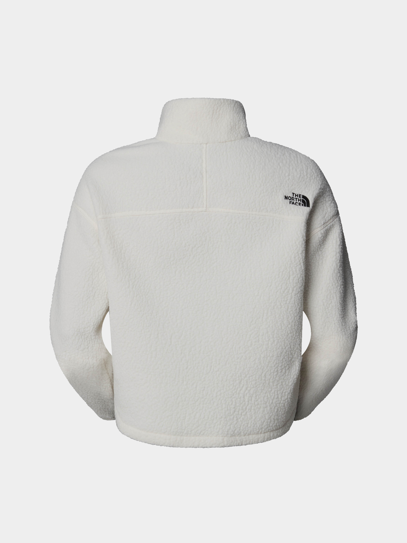 Худи и свитшоты The North Face High Pile Fleece модель NF0A5IIGQLI1 Фото