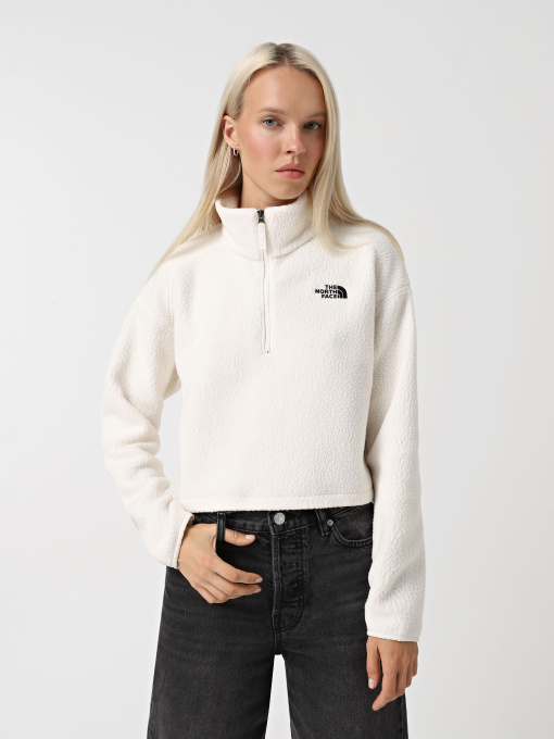 Худі та світшоти The North Face High Pile Fleece модель NF0A5IIGQLI1 Фото