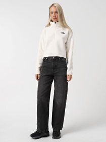 Худи и свитшоты The North Face High Pile Fleece модель NF0A5IIGQLI1 Фото