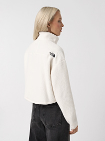 Худи и свитшоты The North Face High Pile Fleece модель NF0A5IIGQLI1 Фото