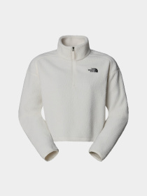 Худи и свитшоты The North Face High Pile Fleece модель NF0A5IIGQLI1 Фото