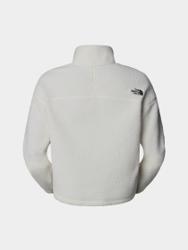Худи и свитшоты The North Face High Pile Fleece модель NF0A5IIGQLI1 Фото