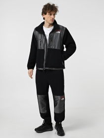 Худи и свитшоты The North Face Retro Denali модель NF0A88XH4O41 Фото