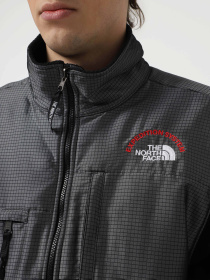 Худи и свитшоты The North Face Retro Denali модель NF0A88XH4O41 Фото